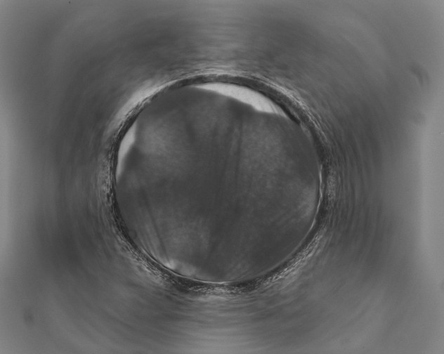 X0000111581359200908131310