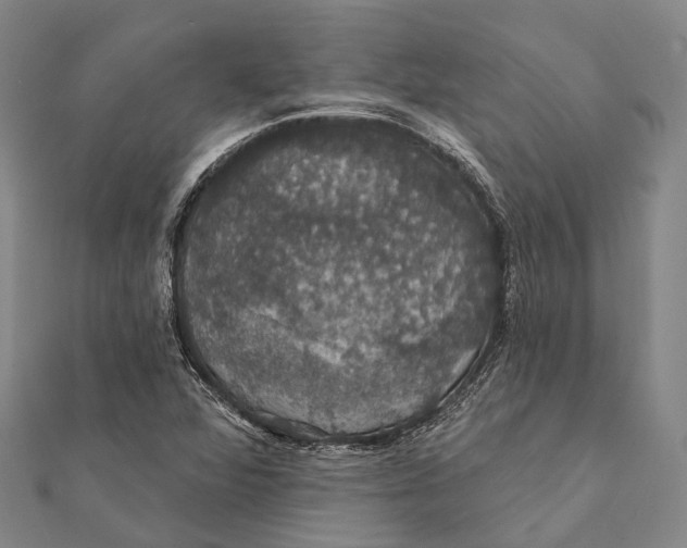 X0000111581360200908131310