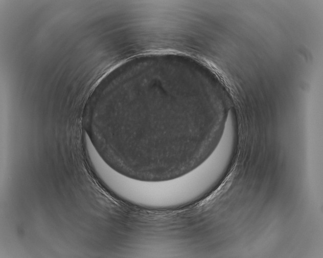 X0000111581361200908131310