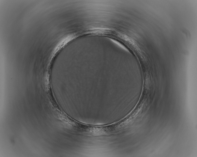 X0000111581362200908131310