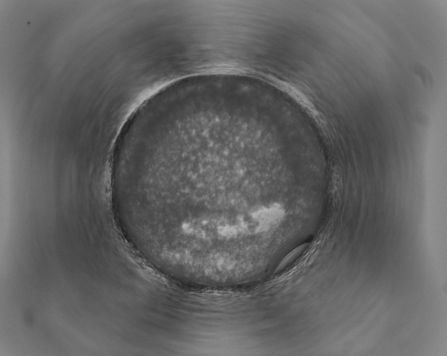 X0000111581364200908131310