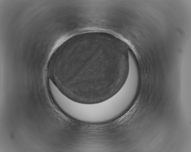 X0000111581365200908131310