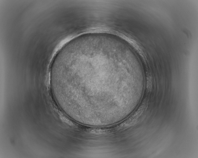 X0000111581366200908131310