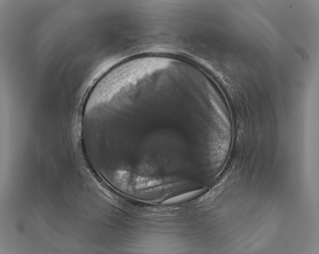 X0000111581367200908131310