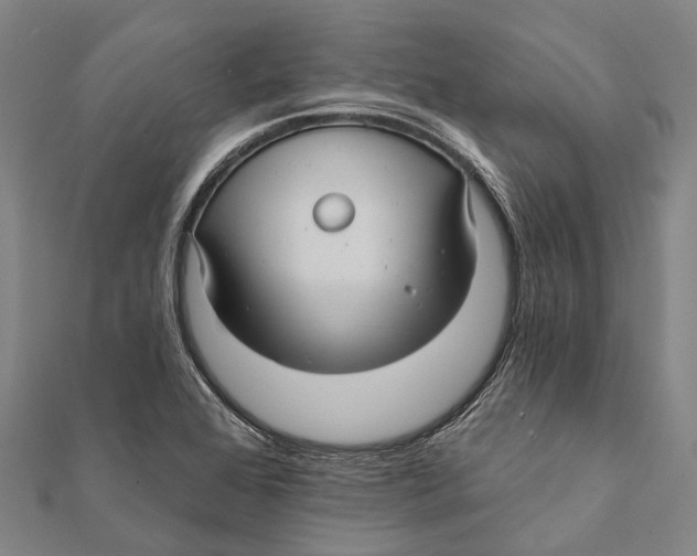 X0000111581368200908131310