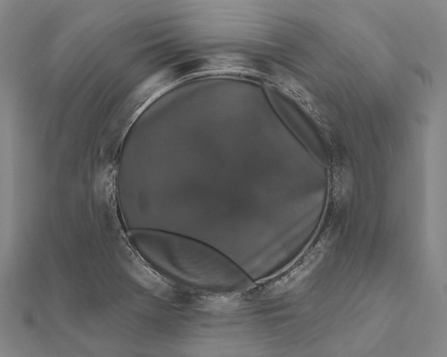 X0000111581369200908131310