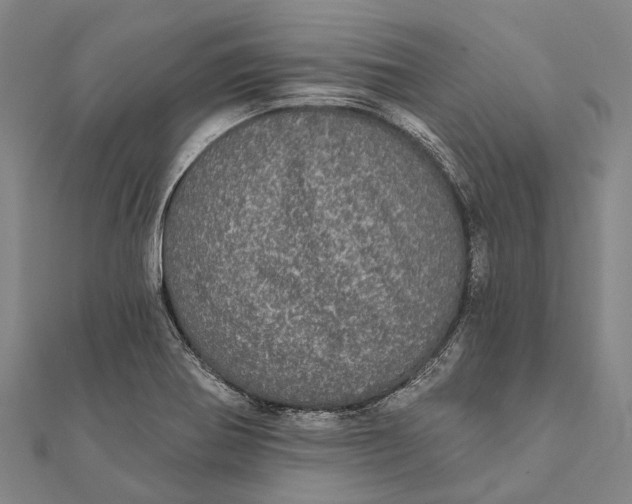 X0000111581370200908131309