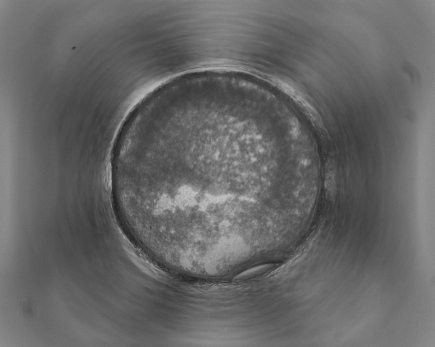 X0000111581372200908131309