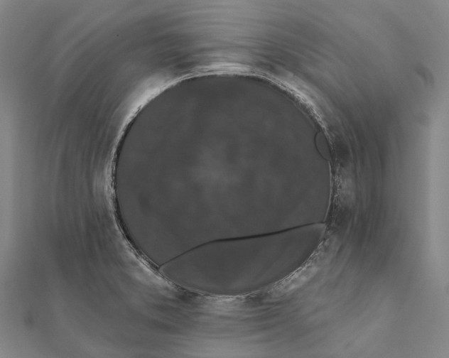 X0000111581373200908131309