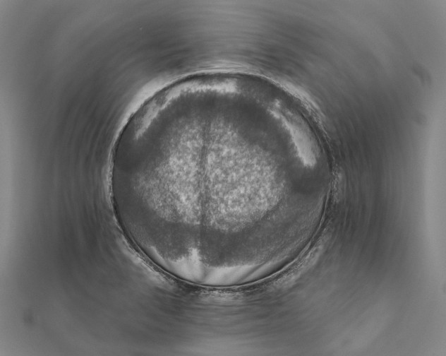 X0000111581374200908131309