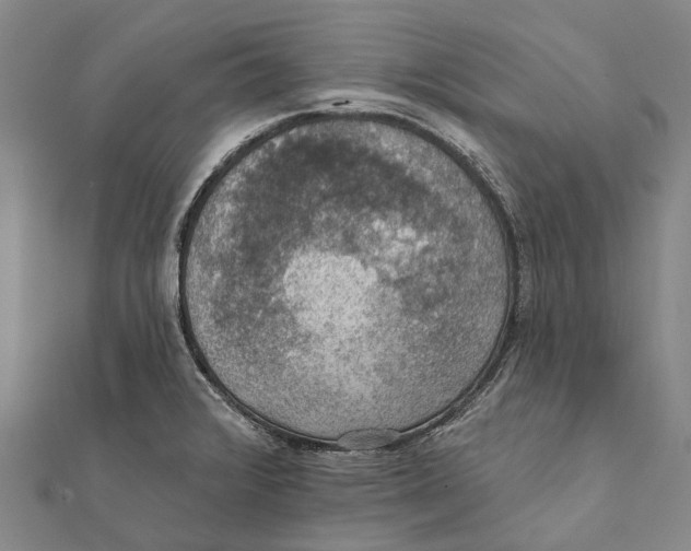 X0000111581376200908131309