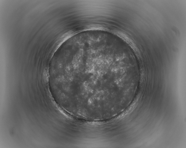 X0000111581377200908131309