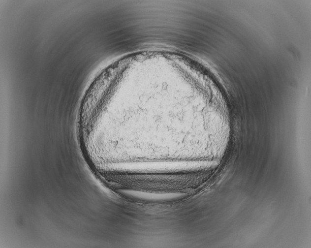 X0000111581379200908131309