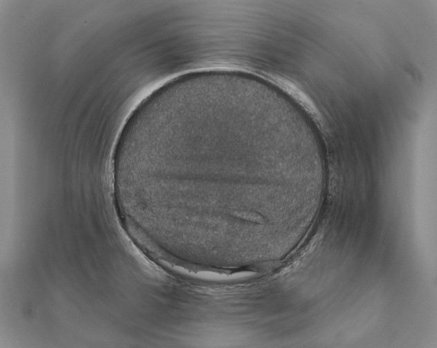 X0000111581380200908131309