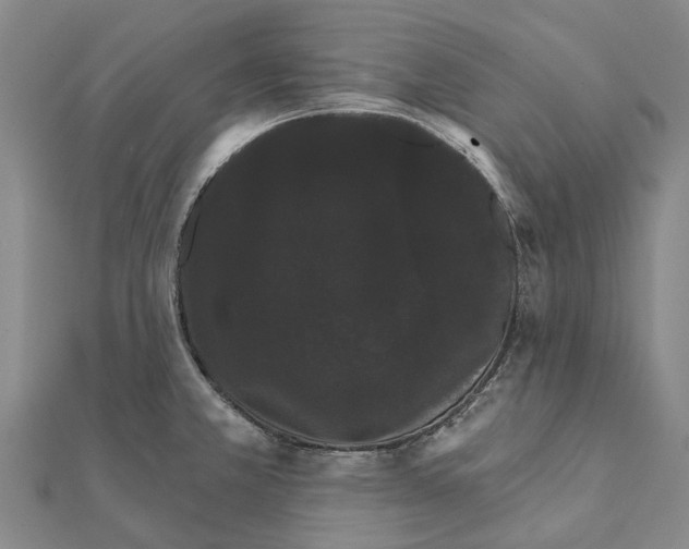 X0000111581381200908131309