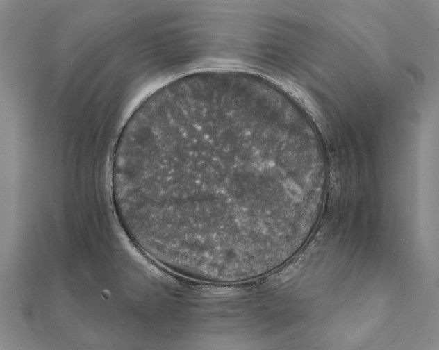 X0000111581382200908131309