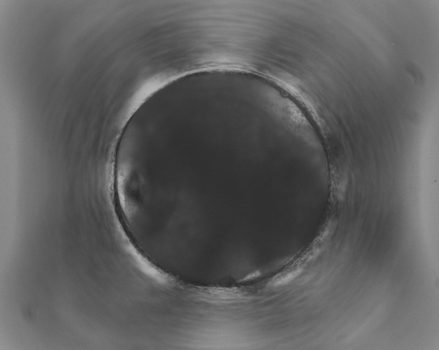 X0000111581383200908131309