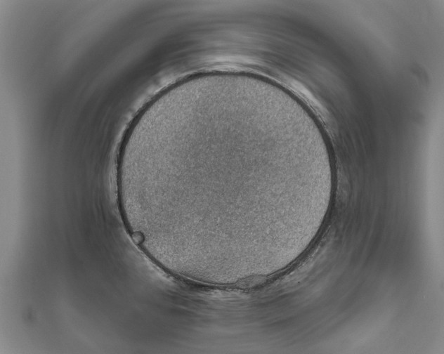 X0000111581384200908131309