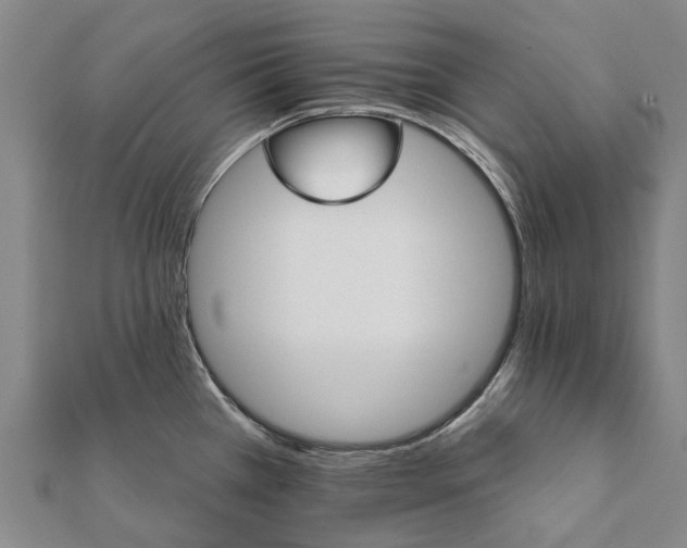 X0000111581385200908131309