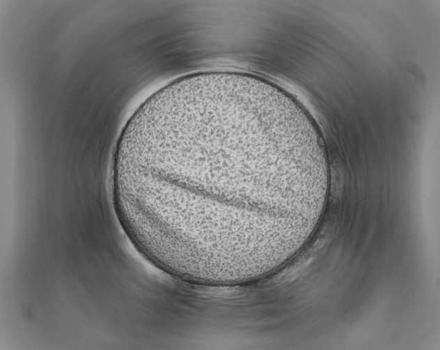 X0000111581387200908131309