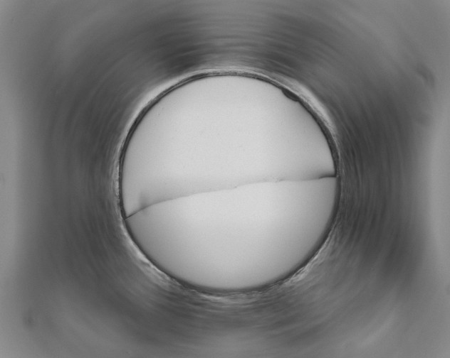 X0000111581388200908131309