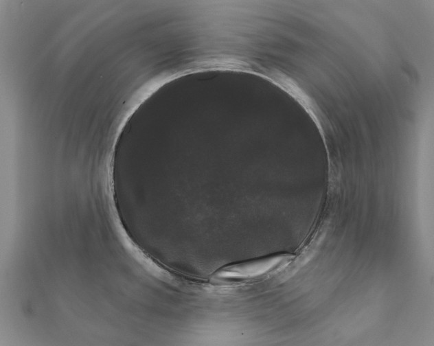 X0000111581389200908131309