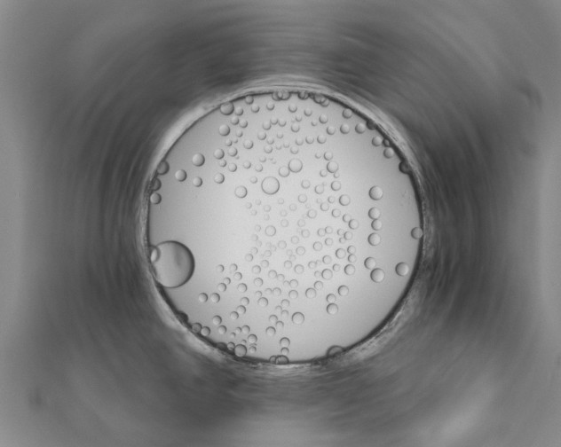 X0000111581390200908131309