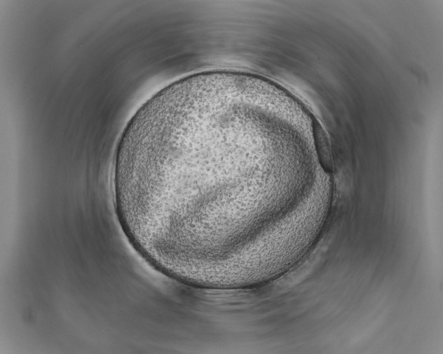 X0000111581391200908131309