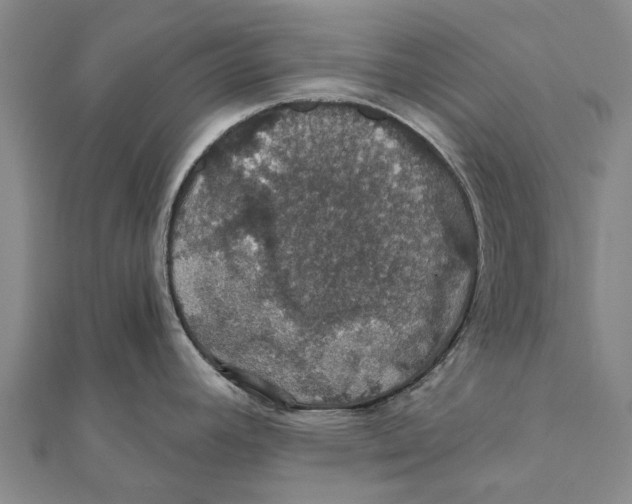 X0000111581392200908131309