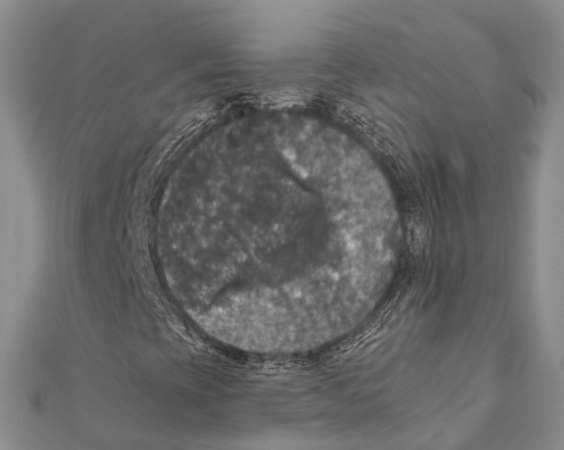 X0000111581393200908131308