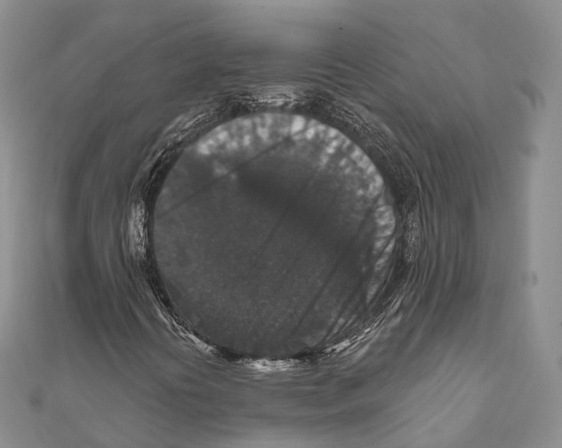 X0000111581394200908131308