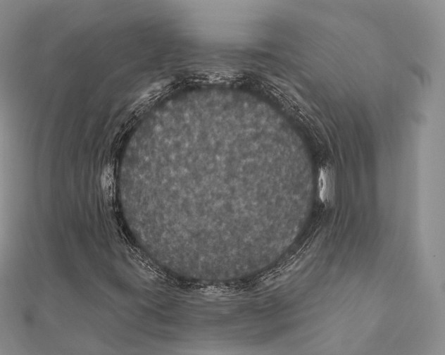 X0000111581395200908131308