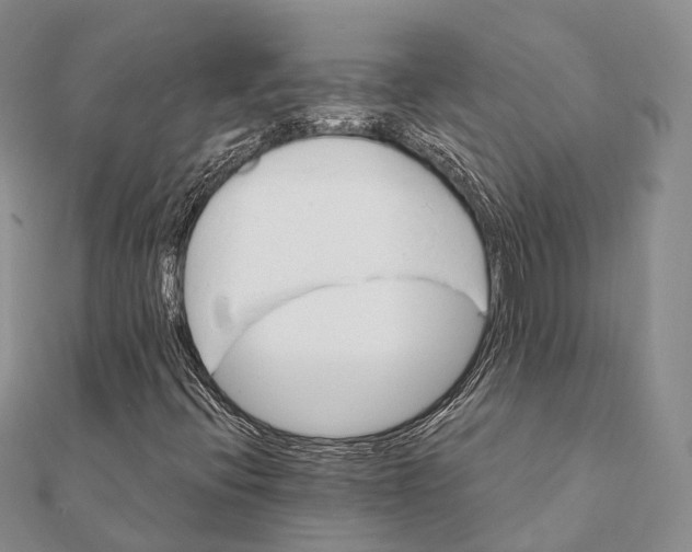 X0000111581396200908131308