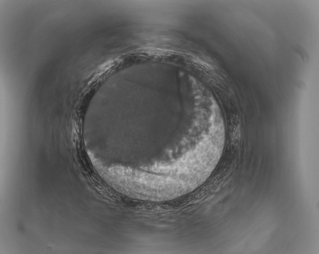 X0000111581397200908131308