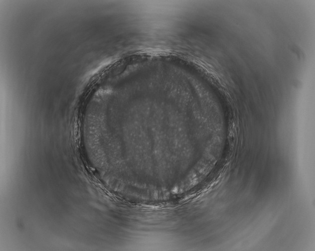 X0000111581398200908131308