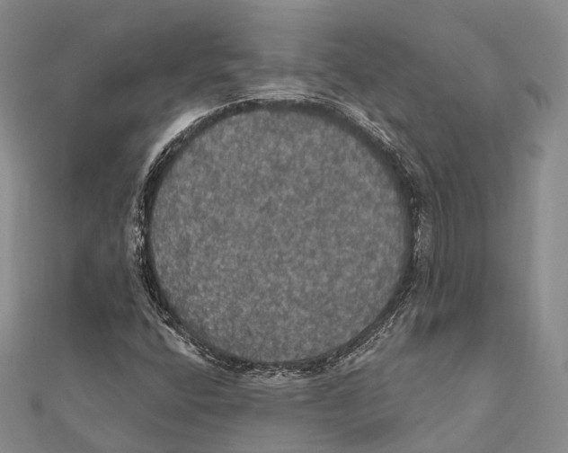 X0000111581400200908131308