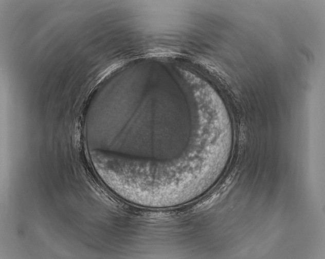 X0000111581401200908131308