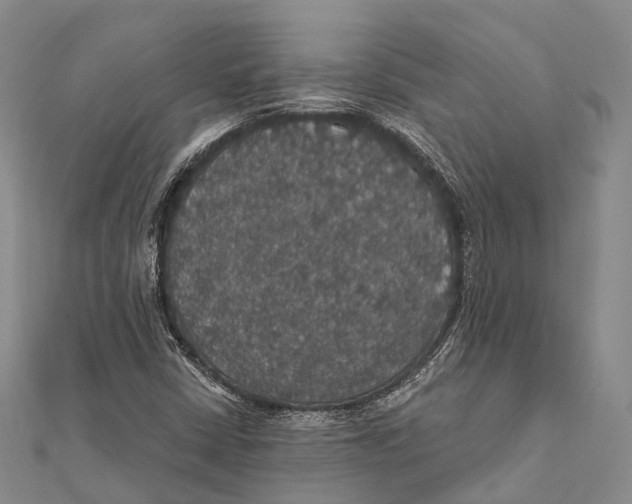 X0000111581402200908131308