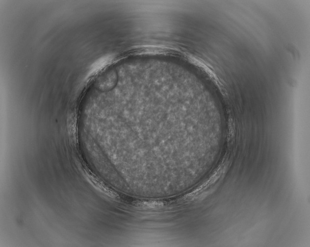 X0000111581403200908131308