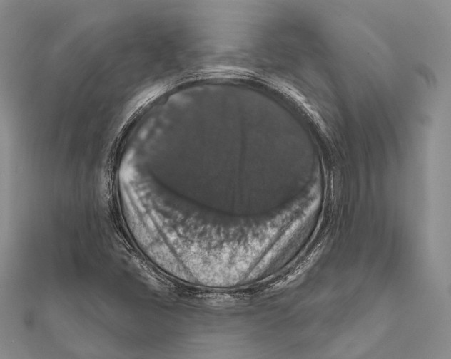 X0000111581405200908131308