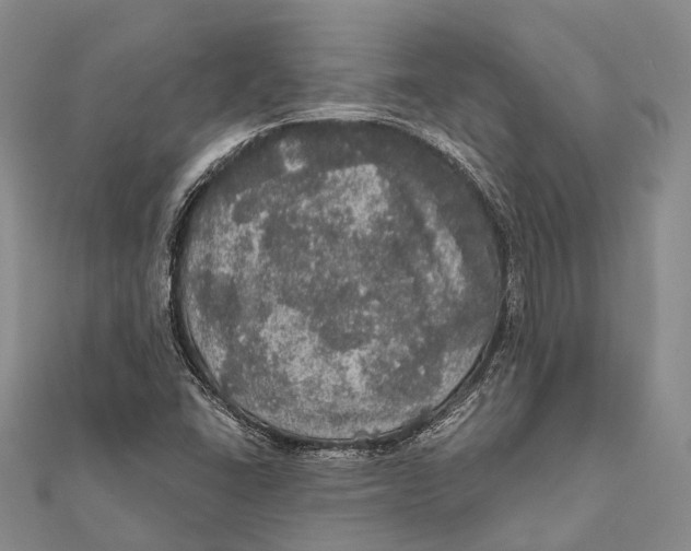 X0000111581406200908131308