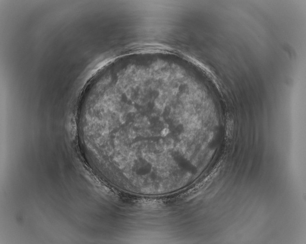 X0000111581407200908131308