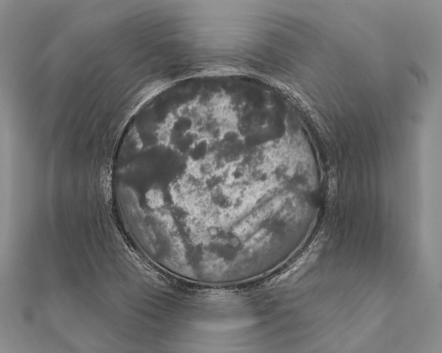 X0000111581409200908131308