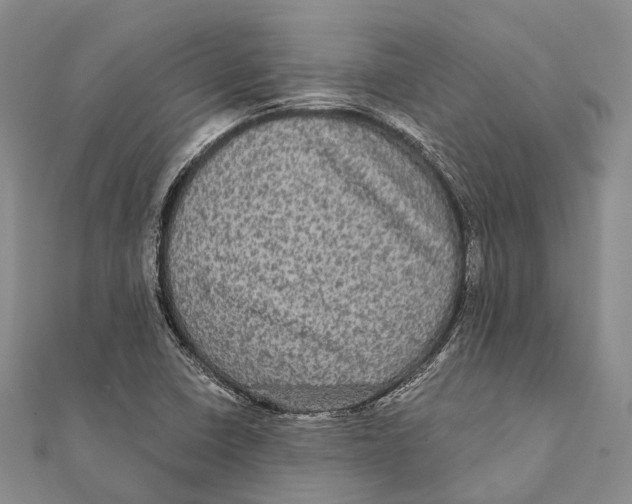 X0000111581410200908131308