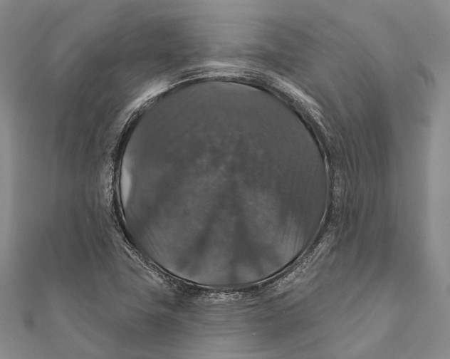 X0000111581411200908131308