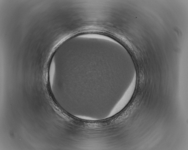 X0000111581413200908131309