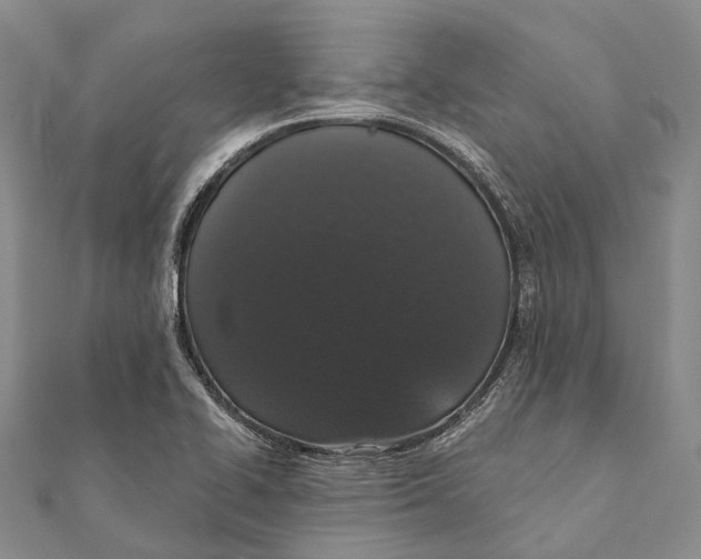 X0000111581414200908131309