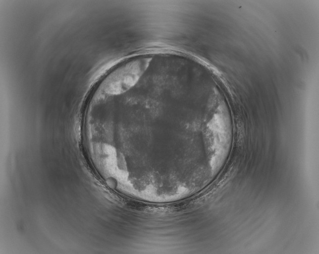 X0000111581415200908131309