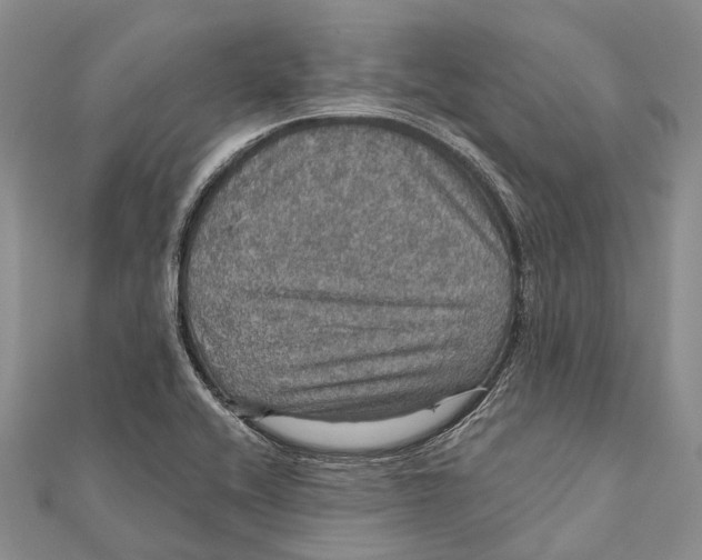 X0000111581416200908131309