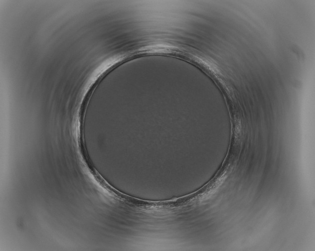 X0000111581418200908131309